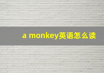 a monkey英语怎么读